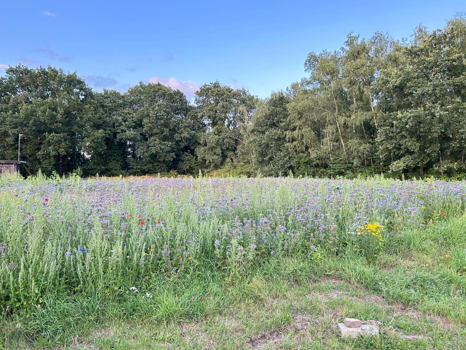 Xantener Ferienhaus Heeser Weg Luaran gambar