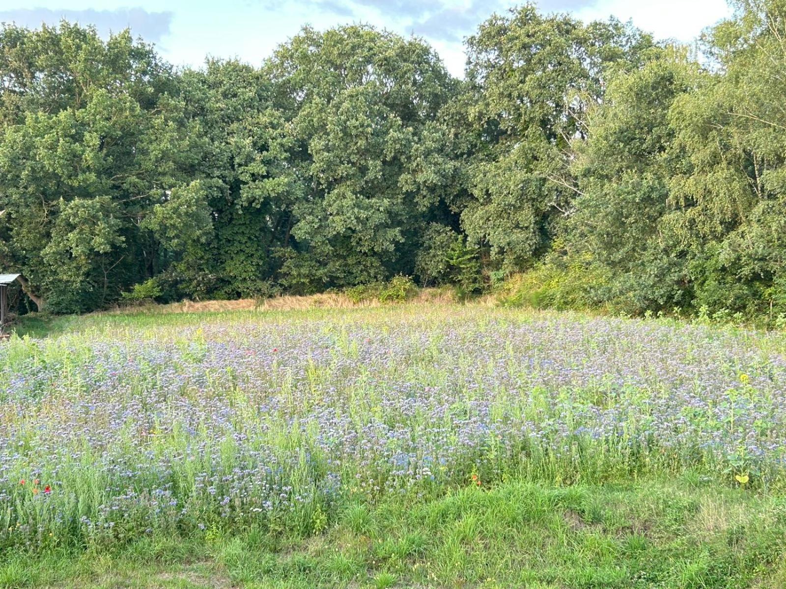 Xantener Ferienhaus Heeser Weg Luaran gambar