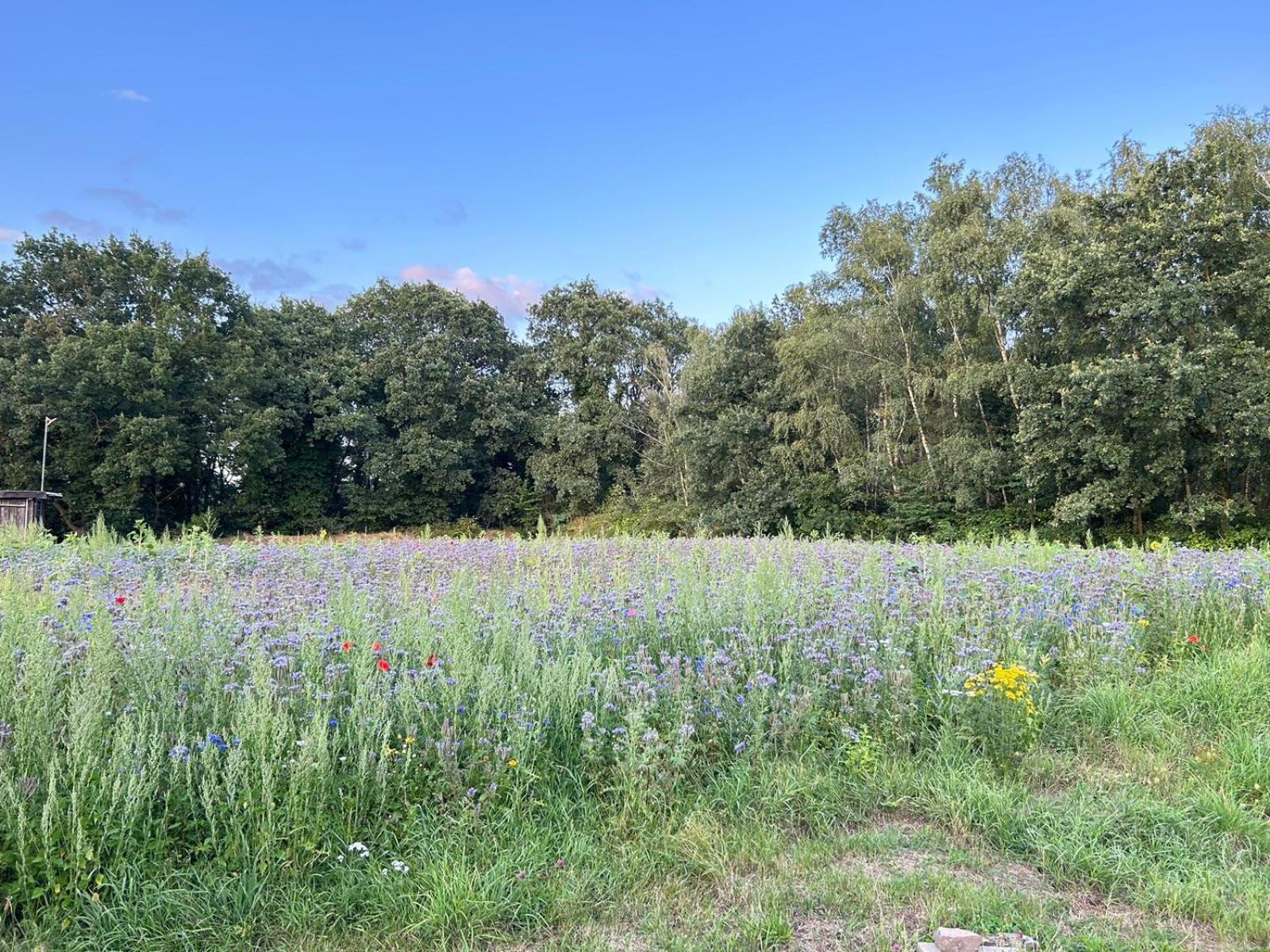 Xantener Ferienhaus Heeser Weg Luaran gambar